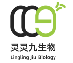 灵灵久生物